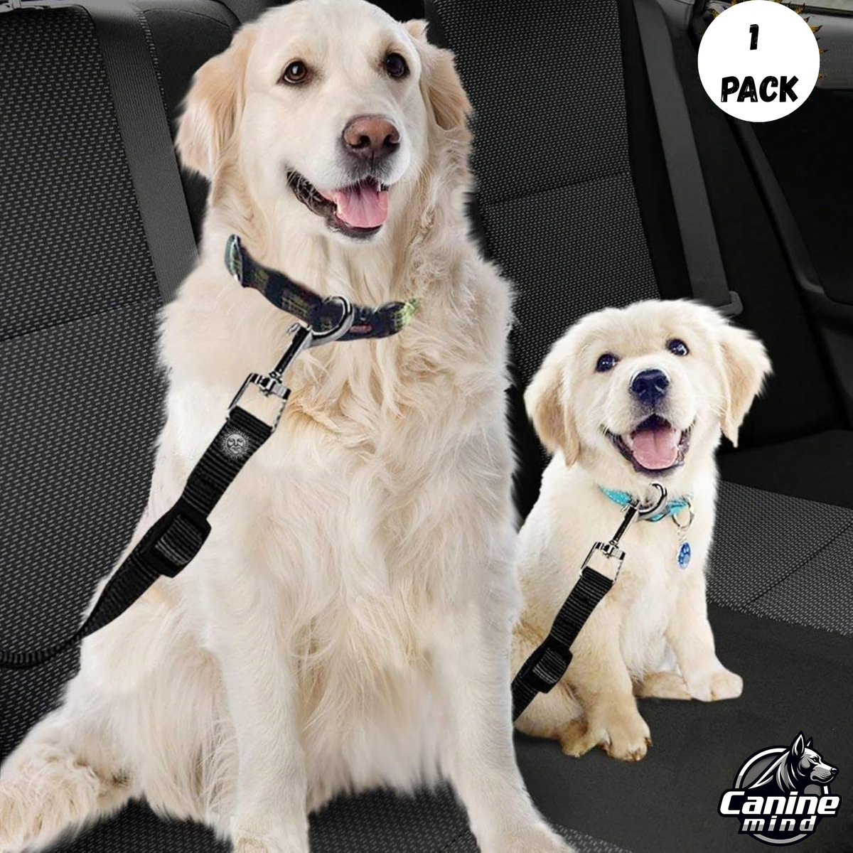 Photo depicts dogs with tethers at their collars; the product instructions require harness attachment