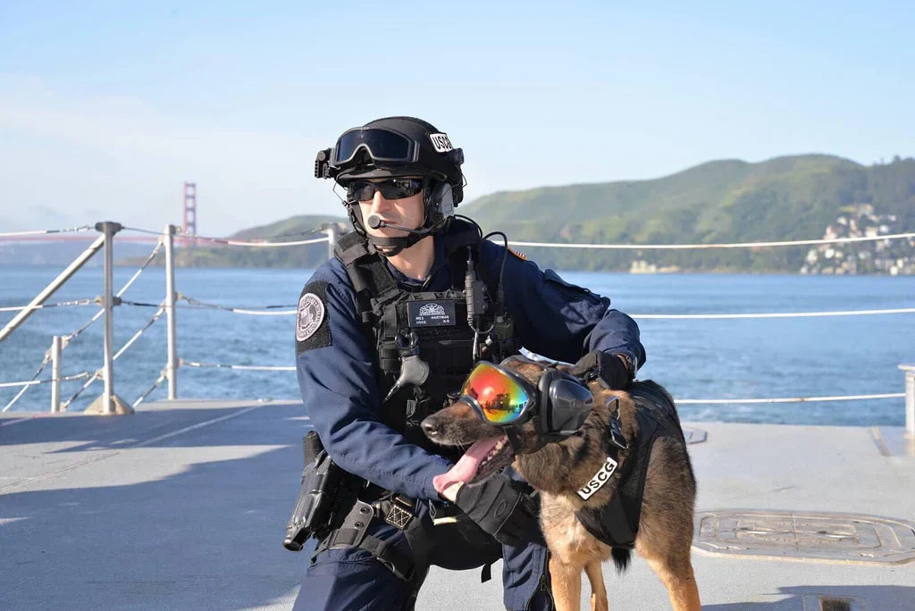 Handler riding with a dog wearing protective goggles