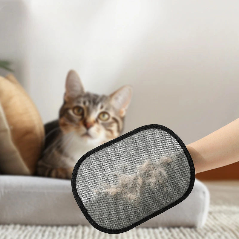 Cat beside a hand using the hair removal glove on upholstery