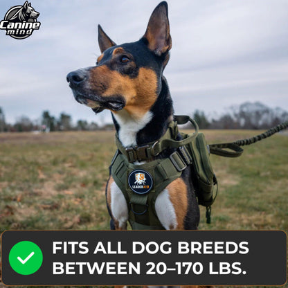 Dog wearing the harness with listed 20–170 lb range graphic