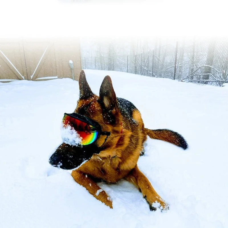 German Shepherd wearing mirrored goggles in the snow