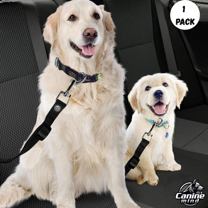 Photo depicts dogs with tethers at their collars; the product instructions require harness attachment
