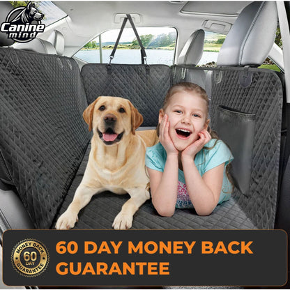 Family and dogs sitting on the covered back seat