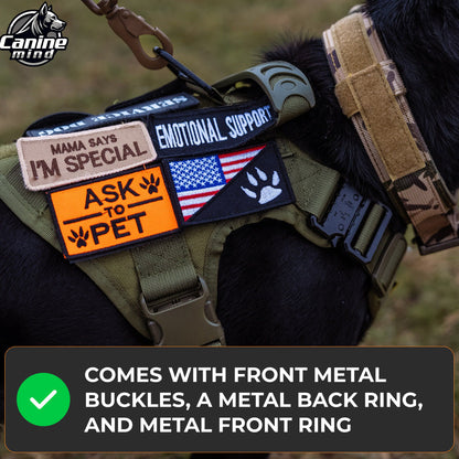 Detail graphic of the harness metal buckles and leash rings