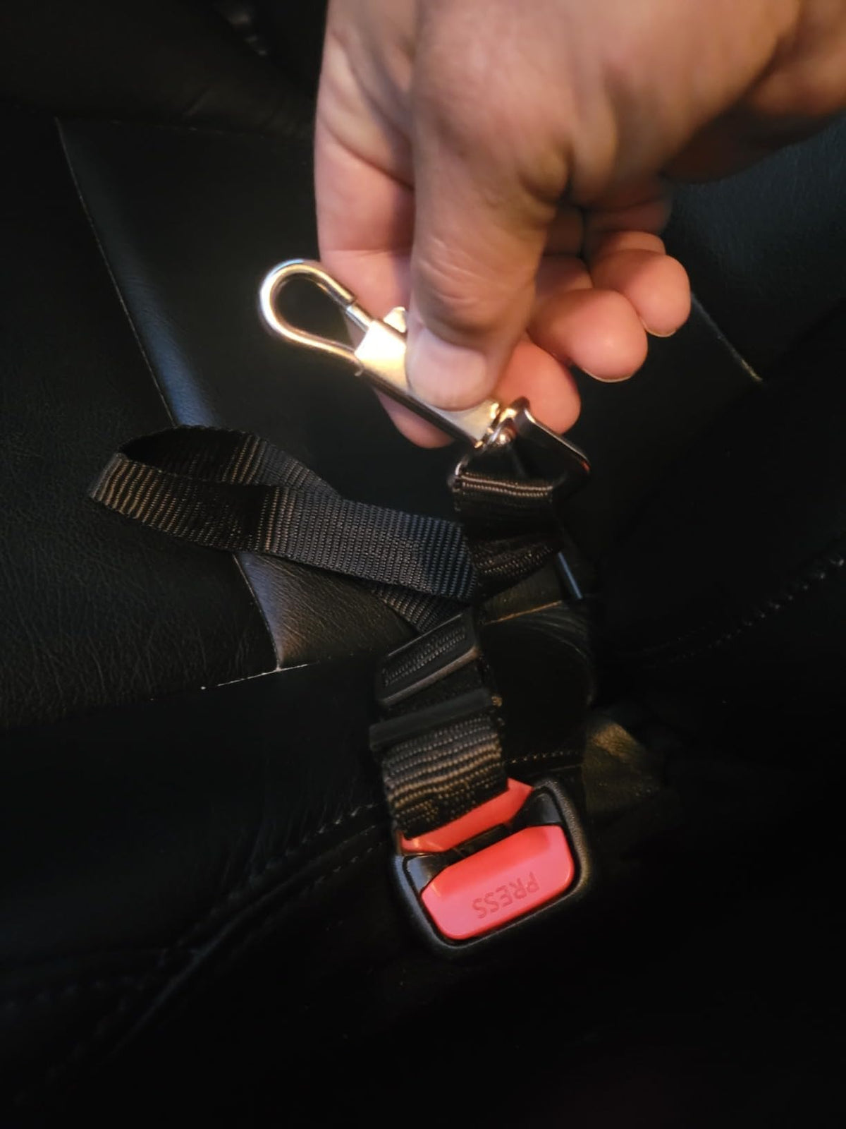 Dog seated in a car with the tether shown clipped to its collar; product instructions specify harness attachment