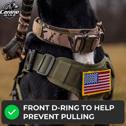 Close-up showing the front D-ring used for leash attachment