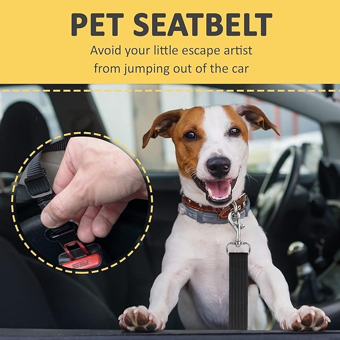 Photo depicts a dog tethered by its collar in a car; the product instructions require harness attachment
