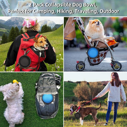 Collage of dogs using the collapsible bowl on walks and hikes