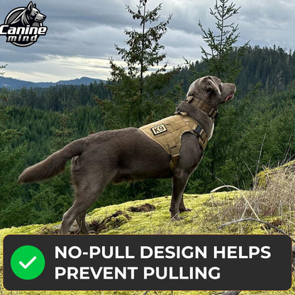 Dog wearing the harness with a front-clip control callout