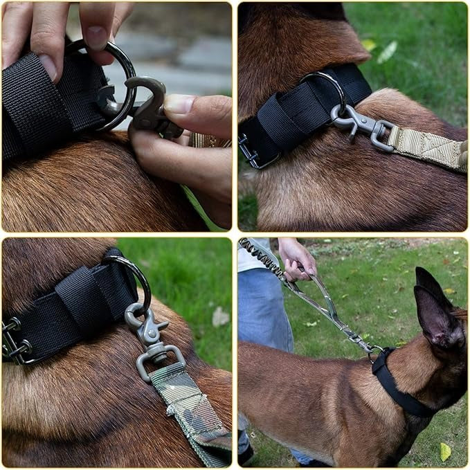 Handler holding the leash while guiding a dog