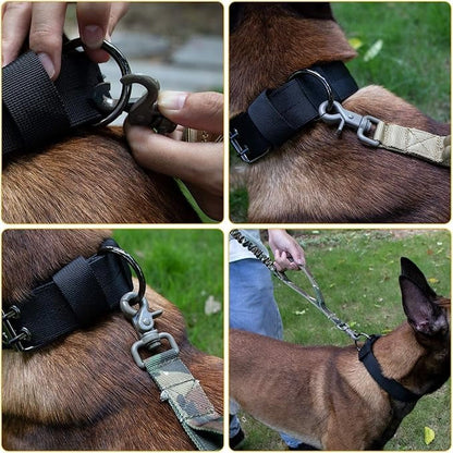 Handler holding the leash while guiding a dog