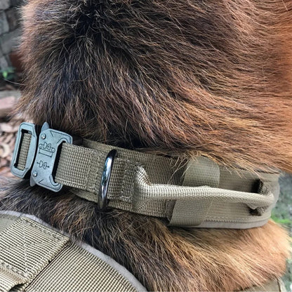 Close-up of the tactical collar fitted around a dog’s neck