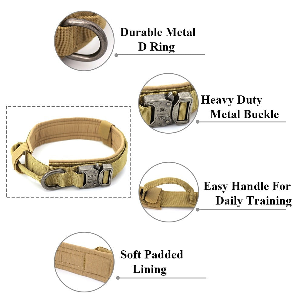 Feature graphic highlighting the collar’s metal D-ring and buckle