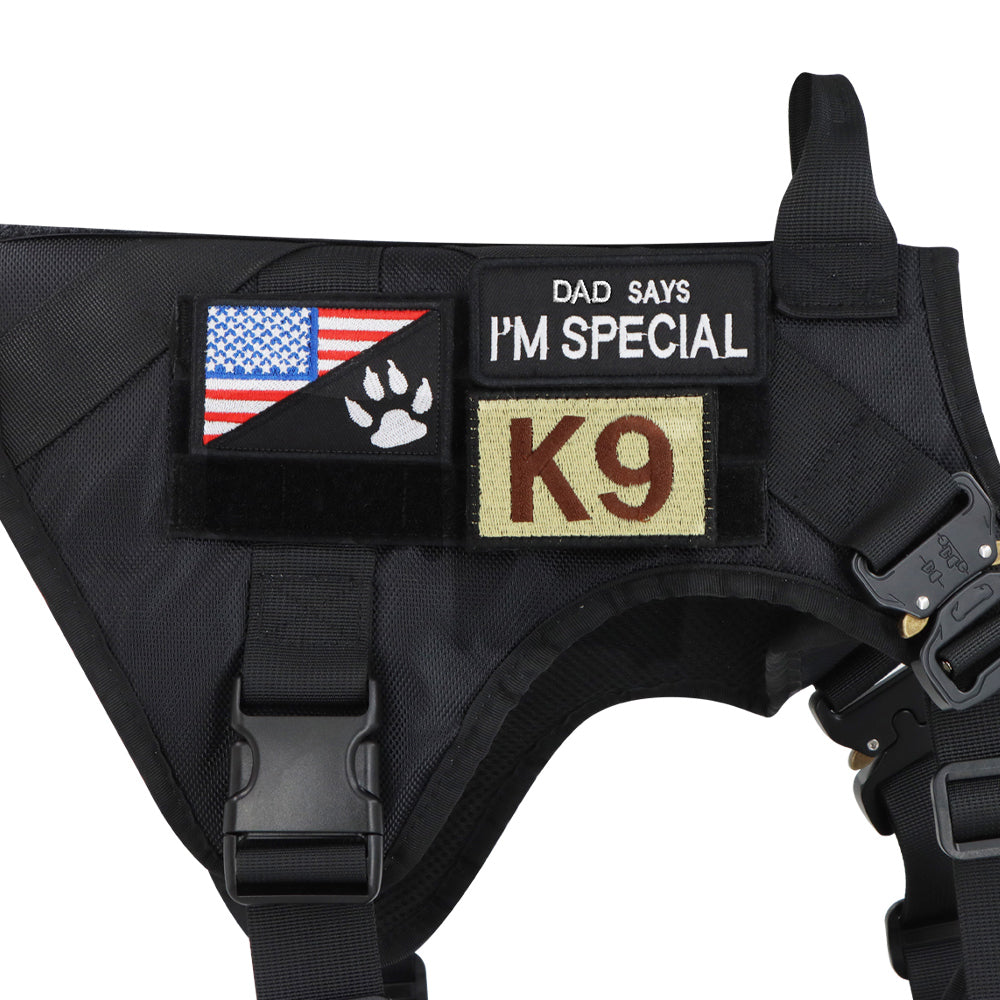 Close-up of a harness panel holding identification patches