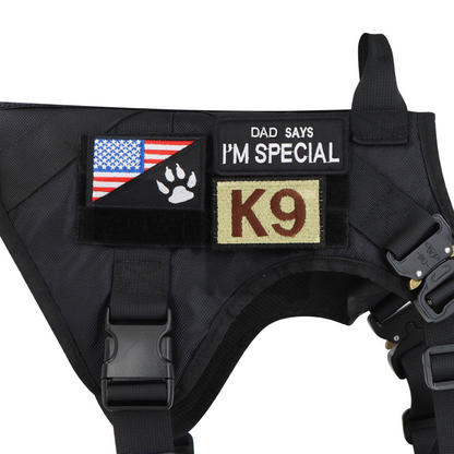 Close-up of a harness panel holding identification patches