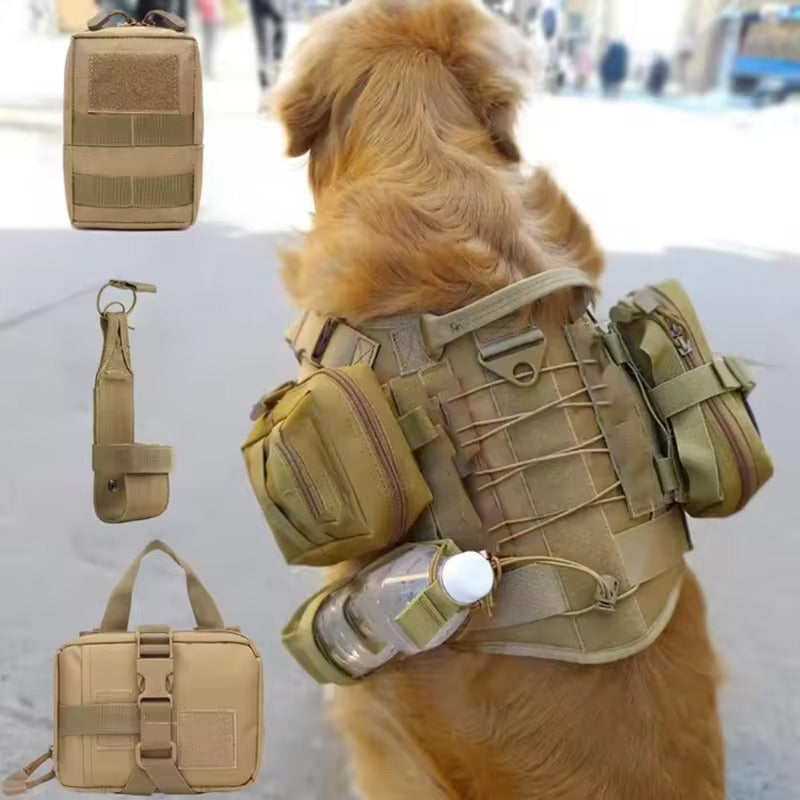 Golden dog wearing a harness with utility pouches