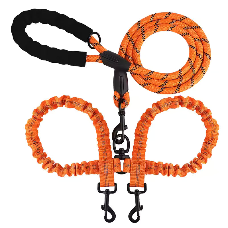 Orange double dog leash with two bungee branches