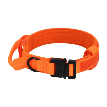 Orange tactical dog collar