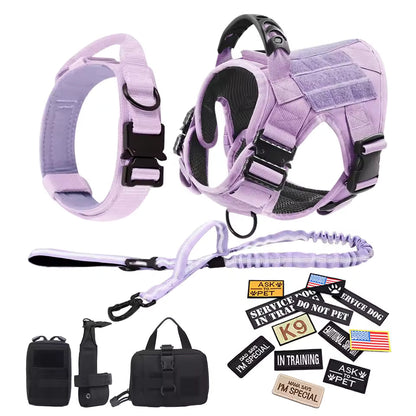Dog wearing the harness with attached tactical accessories