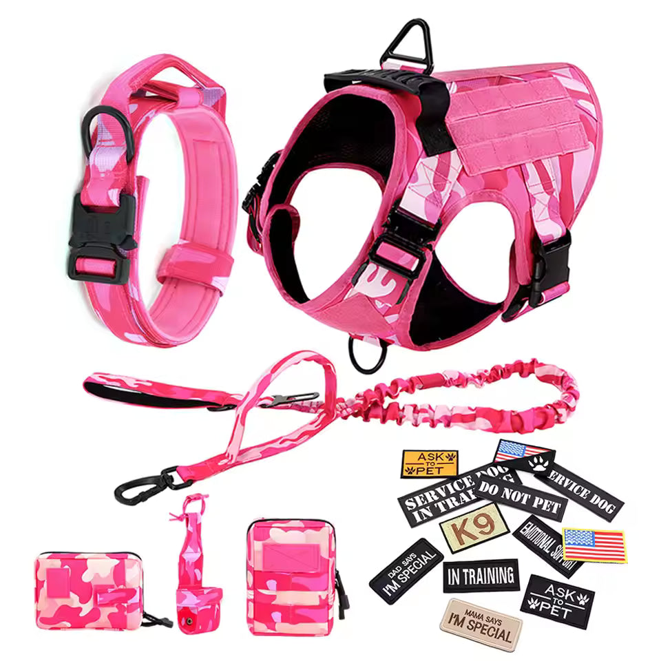 Graphic comparing a no-pull harness with a collar