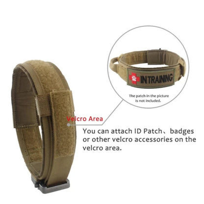 Graphic showing the collar’s hook-and-loop patch panel