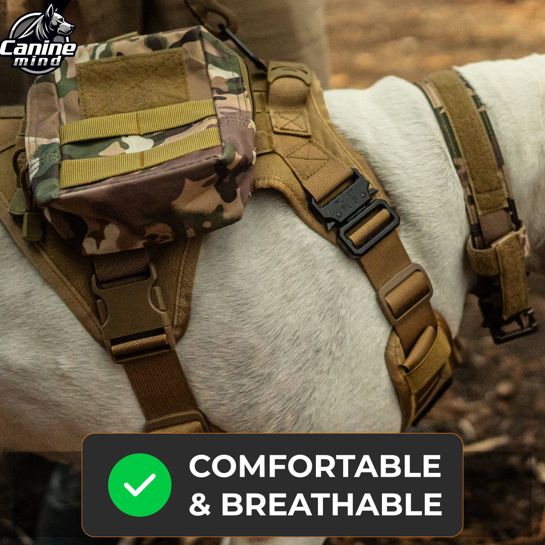 Close-up of the padded harness chest panel