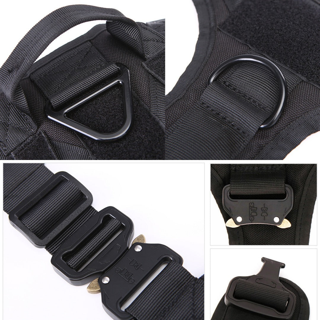 Close-up of the harness straps and metal hardware