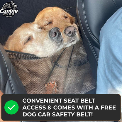 Dog secured in the vehicle beside the included safety belt