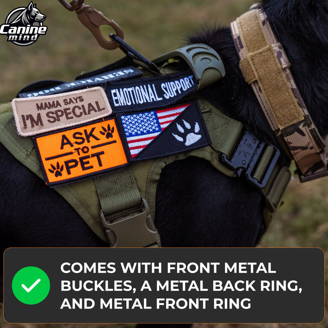 Close-up of harness patches and MOLLE storage
