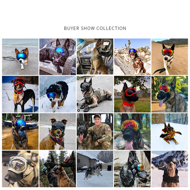 Collage of dogs wearing the goggles in different settings