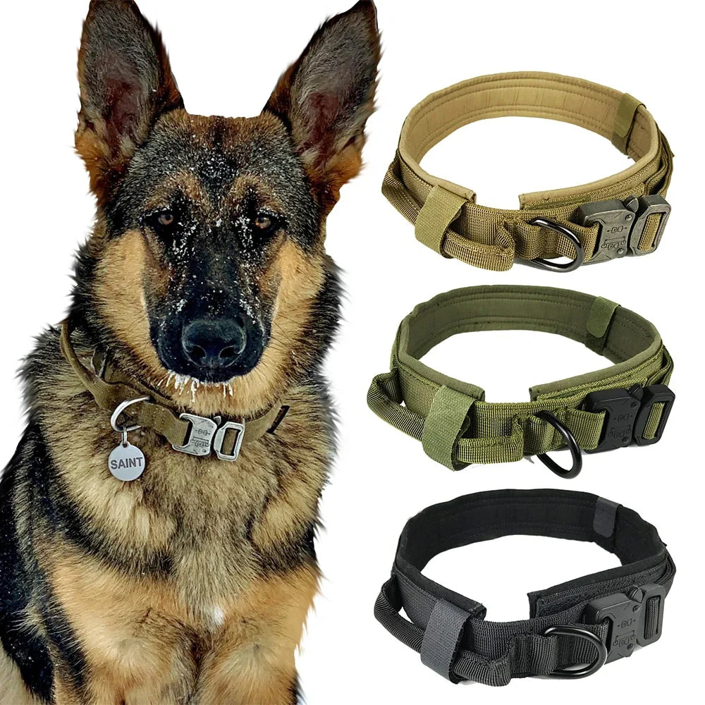 German Shepherd wearing the collar with color options pictured