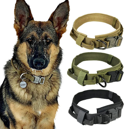 German Shepherd wearing the collar with color options pictured
