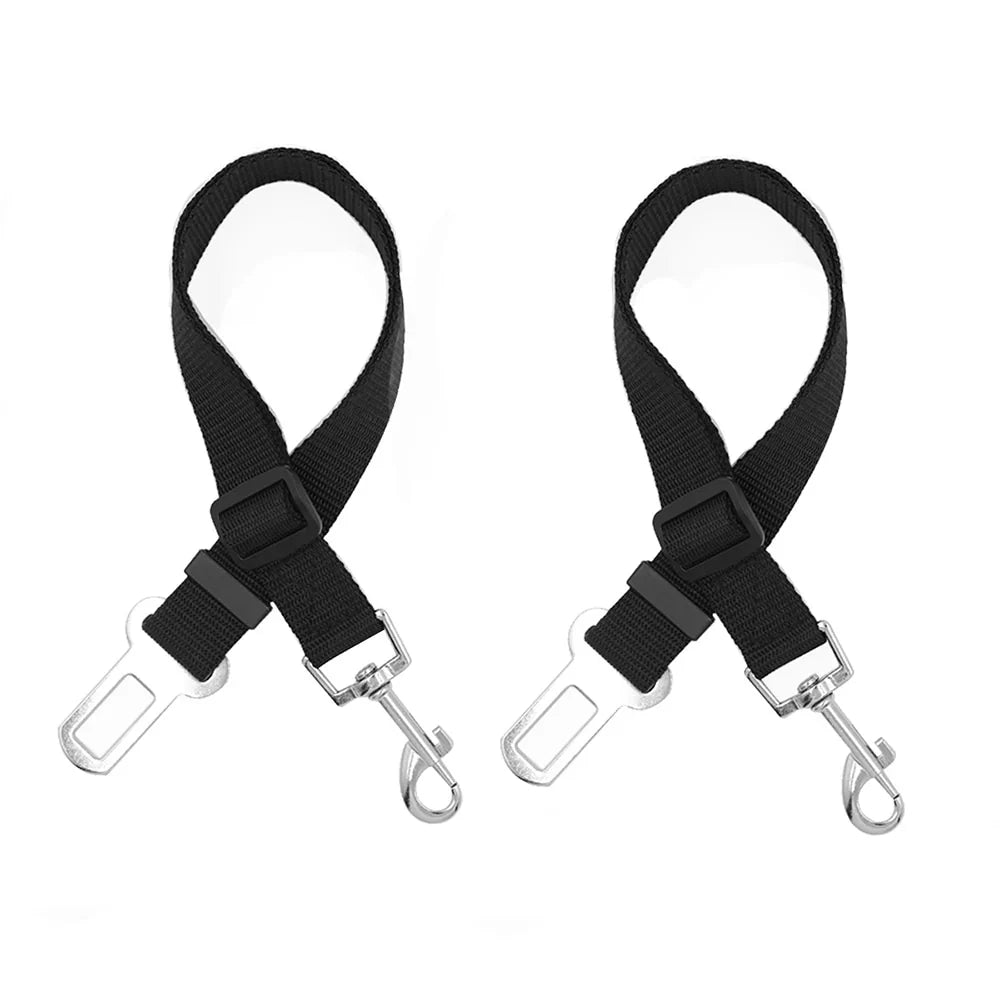 Close-up of the tether's length adjuster, car-buckle tab, and swivel clip