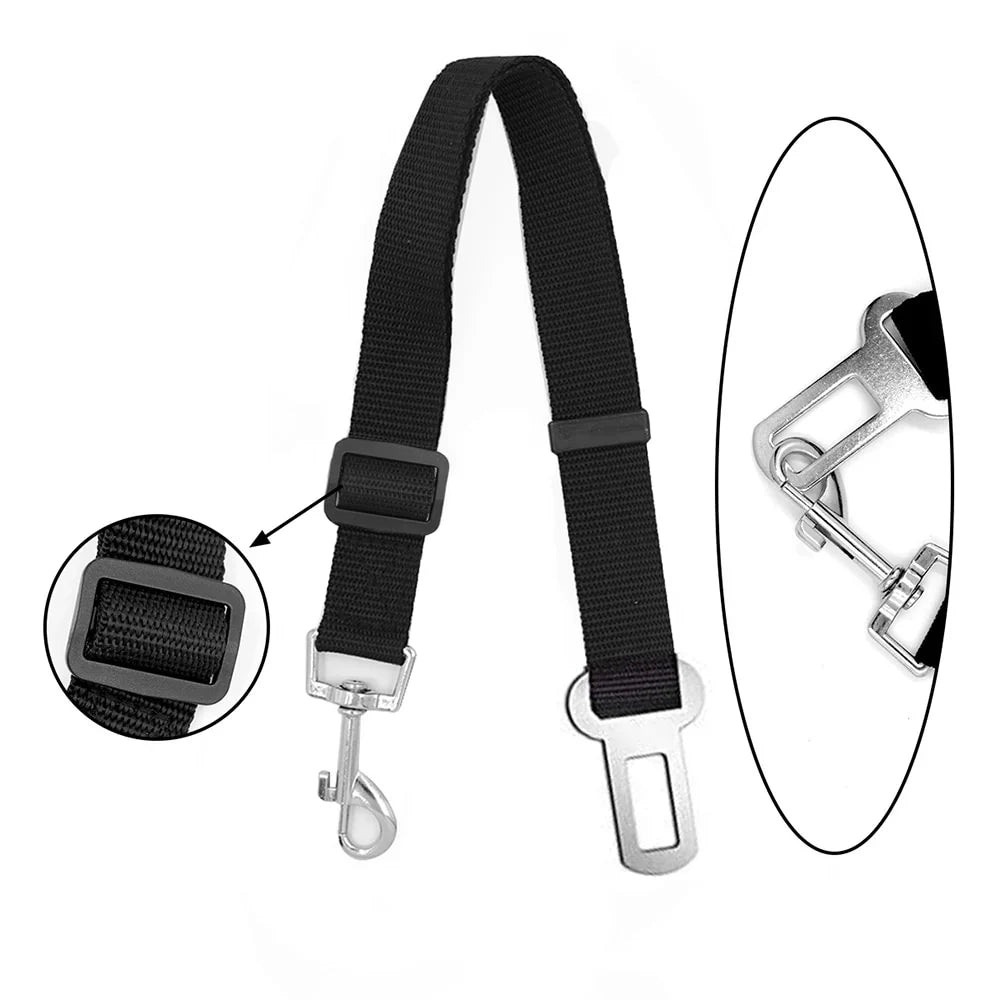 Two black adjustable dog car seat-belt tethers with metal tabs and leash clips