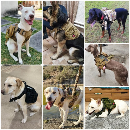 Collage showing pouches attached to dogs’ harnesses