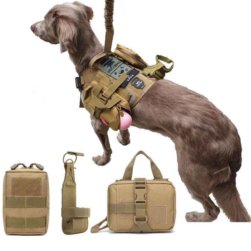 Dog wearing a harness with a MOLLE pouch attached