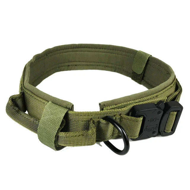 Green tactical dog collar